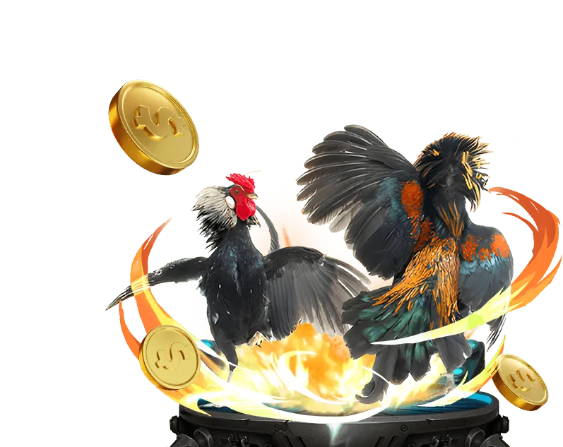 Mẹo chơi cá cược có trách nhiệm